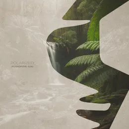 Polarized von AudioFire – Cover