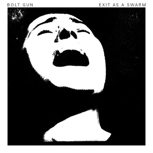 Exit as a Swarm von Bolt Gun – Cover