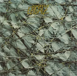 Ersatz von Dieter Moebius – Album Cover