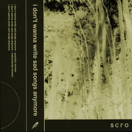 I Don’t Wanna Write Sad Songs Anymore von Scro – Cover