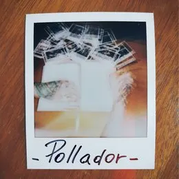 Pollador von Forecast – Album Cover
