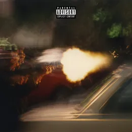 BRAP (Born Rewards & Penalties) von V Don – Album Cover