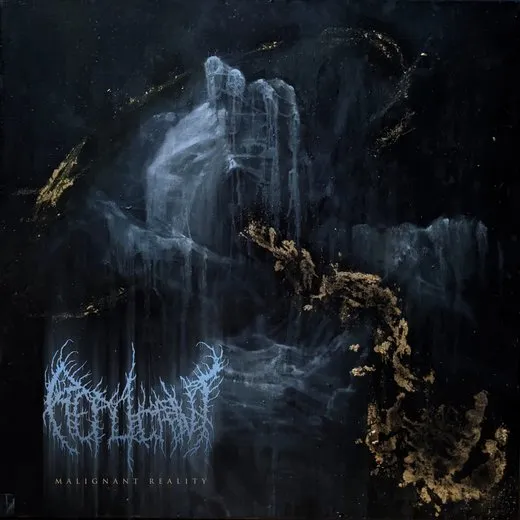 Excess Womb