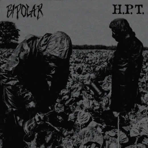 Bipolar / H.P.T