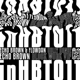 Gully Dance / Block Work (VIP) von Echo B – Cover
