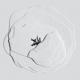 Travelling In Travel von Dysfunctional by Choice – Album Cover