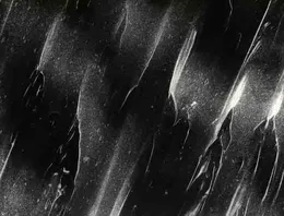 Spiritless Resolution von Beastlor – Cover