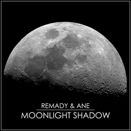 Moonlight Shadow von Remady – Cover