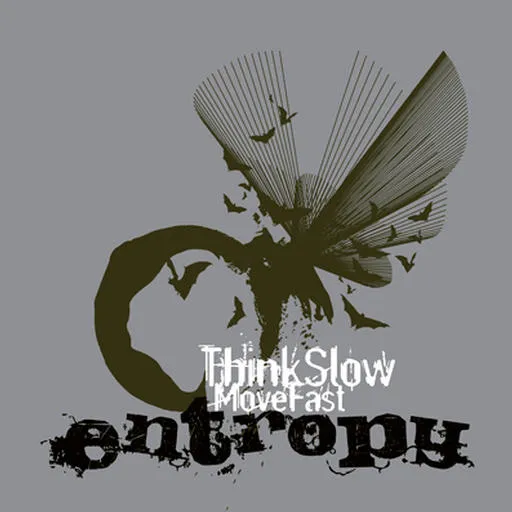 Think Slow Move Fast