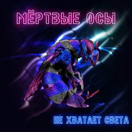 Не хватает света von Мёртвые Осы – Cover