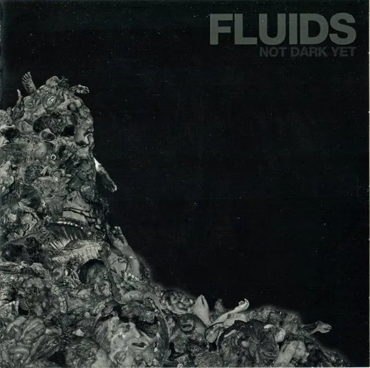 Not Dark Yet von Fluids – Album Cover