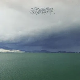 The Fruit That Ate Itself von Modest Mouse – Album Cover
