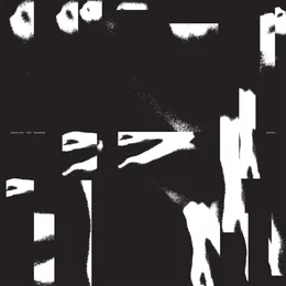 Shaping the Random von Shora – Album Cover