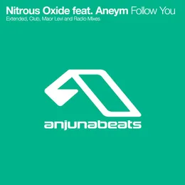 Follow You von Aneym – Cover
