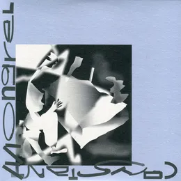 Experts In Skin von Constant Mongrel – Cover