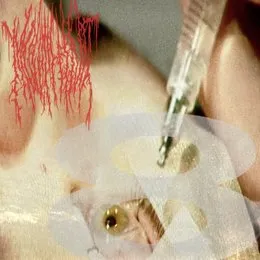 Demos von Mouthing – Cover