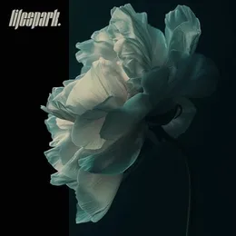 So Long von Lifespark. – Cover