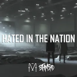 Hated in the Nation von Beneath My Shade – Album Cover