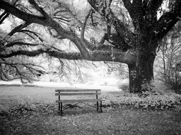 A Place to Rest von Phobos – Album Cover