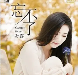 忘不了 von 孙露 – Album Cover