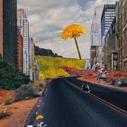 Street Flowers von ABOUT – Cover