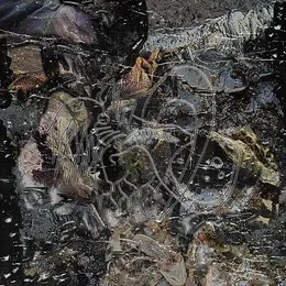 Terra von Nahshi – Cover