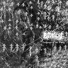 Language of the Divine von Bodyache – Cover