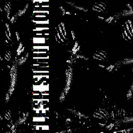 Morgellons Support Group von Flesh Simulator – Album Cover