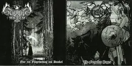 Nur ein Flügelschlag ins Dunkel / Forgotten Pages von Asenheim – Album Cover