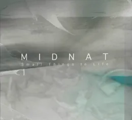 Small Things In Life von Midnat – Album Cover