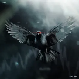 Black Dove von LEVELS – Album Cover