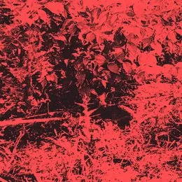 Sankaku // Trhä von Trhä – Album Cover