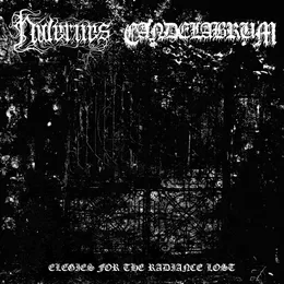 Elegies for the Radiance Lost von Nidernes – Album Cover