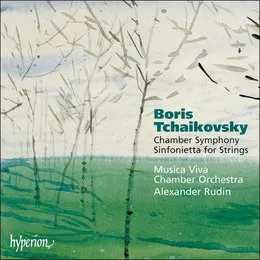 Chamber Symphony / Sinfonietta for Strings von Александр Рудин – Album Cover