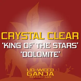 King of the Stars / Dolamite von Netsky – Album Cover