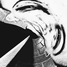 Skinhead von Skinhead – Cover