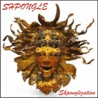 Shponglization von Shpongle – Cover