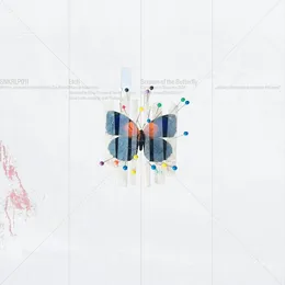 Scream of the Butterfly von Etch – Album Cover