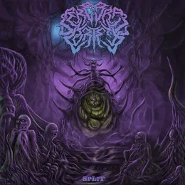 SpLiT von Cerebral Cortex – Cover