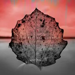 Zwischen Zeit und Dunkelheit von Apoptose – Cover