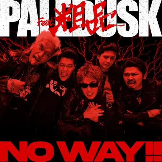 NO WAY!! von Paledusk – Album Cover