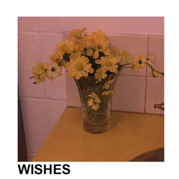 Wishes von High Sunn – Album Cover