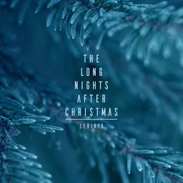The Long Nights After Christmas von LeVirya – Cover