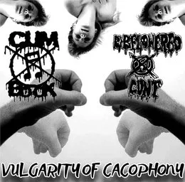 Vulgarity of Cacophony von Deflowered Cunt – Album Cover