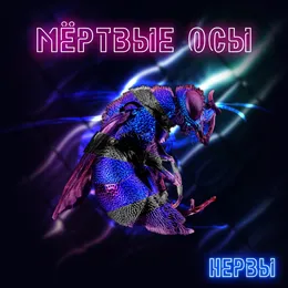 Нервы von Мёртвые Осы – Cover