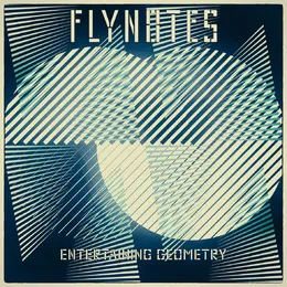 Entertaining Geometry von Flynotes – Cover