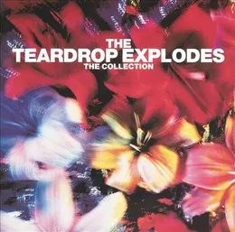 The Collection von The Teardrop Explodes – Cover