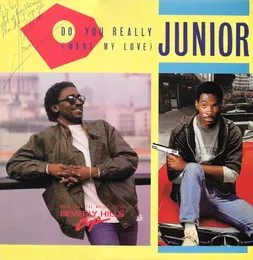 Do You Really (Want My Love) von Junior – Cover