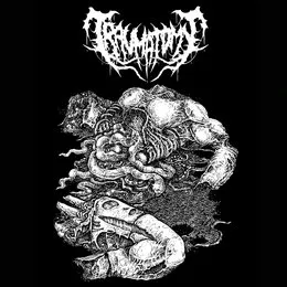 Promo 2014 von Traumatomy – Album Cover