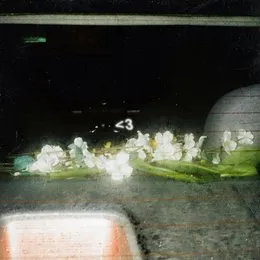 i wish you loved me von Nightly – Album Cover